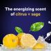 Buy Suave Men Body Wash Citrus & Sage - Energizing Clean Scent 15 oz - Buy Online on GoSupps.com