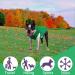 Premium Dog Coat & Sweater for Small Dogs - Stylish Chihuahua Clothing for Winter & All Seasons - Buy Online on GoSupps.com