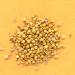 Rumi Spice Herati Whole Seed Coriander - 1 oz | Premium Quality - Buy Online on GoSupps.com