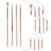 4-Piece Acne Remover Kit - Stainless Steel Blackhead & Pimple Extractor Tool Set - Comedone Extractor in Rose Gold - Buy Online on GoSupps.com