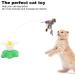 Qcwwy Electric Flying Bird Cat Toys | Rotating Fluttering & Lifelike Sounds for Kittens & Small Pets - International Shipping - Buy Online on GoSupps.com