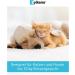 Zylkene Vetoquinol 75 mg Capsules | 40 Pack | Supplementary Dog Feed | Supports Dogs in Unusual Situations | International Shipping Available - Buy Online on GoSupps.com