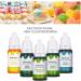 Rawisu DIY Lip Gloss Set - 12 Colorants (10ml Each) | Skin-Friendly Makeup & Jewelry Craft - Perfect Gift for Women - Buy Online on GoSupps.com