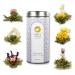 Tea Exclusive - Teblumen mix "Flower Fantasy" 6 different tea blum in Schoener metal can with photo booklet and sprouts - Gruener and white tea with jasmine rose peonine