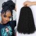Passion Twist Hair 7 packs 12 inch Crochet Braids Hair Water Wave H kelhaar For Long Bohemian Hair Braids Kunsthaar YDDM Passion Twist Crochet Hair Synthetic hair extensions 1b# 1b 12inch (7 Pack)