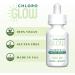 Chloroglow 1500mg Liquid Chlorophyll Oxygen Drops - Energy & Immune Support, Natural Detox, Altitude Sickness Prevention, 30ml - Buy Online on GoSupps.com
