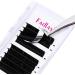 Easy Fan D Curl 0.05 11mm Single Lashes - Natural Look Russian Eyelash Extensions - Buy Online on GoSupps.com