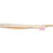 Pinkaholic New York ZURI Leash - Beige - M - Buy Online on GoSupps.com