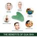 Nature Jade Stone Gua Sha Massage Tools Set with Rosehip Oil | Skin Beauty and Moisturizing | Includes Travel Pouch | Green Jade Stone & 30ml Rosehip Oil - Buy Online on GoSupps.com