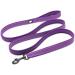 WINHYEPET True Love Reflective Nylon Dog Leash for Small, Medium, Large Breeds - Easy Control Comfortable Handle Lead for Puppy Training and Walking - 110cm Length (Purple, M) - Buy Online on GoSupps.com