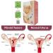 Tea for Women Warm Uterine Tea Uterus Tea Uterus Detox Tea Myoma Tea for Women - Buy Online on GoSupps.com