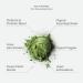 Paradise Herbs ORAC-Energy Greens 3.2 oz - Superfood Powder for Antioxidant Boost - Buy Online on GoSupps.com