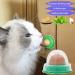 Cat Snacks Catnip Sugar Energy Lick Balls Nutrition Snacks Cat Treats Natural Licking Sugar Snacks Balls 10 Pieces - Buy Online on GoSupps.com