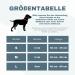 Teamwalk Premium Dog Collar - Adjustable Magnetic Handle Light Strip AirTag Bag Soft Upholstery Robust Buckle - Available in Black (L) - Shop Internationally! - Buy Online on GoSupps.com