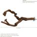 Natural Bird Accessories Set - 2 pcs Grape Wood Climbing Rods for Budgies Canaries & Nymphs - Ideal for Bird Cages - Buy Online on GoSupps.com