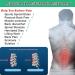 Breathable Adjustable Back Brace | Lumbar Support Belt for Sciatica & Herniated Disc - Small Gray | Pain Relief & Fitness Aid - Buy Online on GoSupps.com