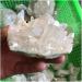 Natural Clear Quartz Crystal Cluster Small Stones Rare Specimen Full of Texture - Buy Online on GoSupps.com