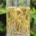G teau au th blanc chinois Fuding 300g vieux th blanc naturel aiguille en argent biologique - Buy Online on GoSupps.com