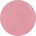 THE EDGE Gel Nail Polish 8ml - The Sheer French - UV/LED Manicure/Pedicure for Salon & Home Use Highly Pigmented/Long Lasting/2-Coat Coverage - Buy Online on GoSupps.com