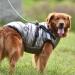 Shop Waterproof Dog Vests & Coats | Warm Soft Winter Dog Harness in 9 Colors - 3XL Silver - Buy Online on GoSupps.com