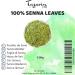 100g Sennes Leaves - Natural Strong Laxative | Detox Herbal Tea for Intestinal Cleaning | Tazarin Ltd - Buy Online on GoSupps.com