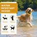 YOTANGO Dog Collar Repellent 1-Pack Dog Collar Repellency Slow Release Pleasant Aroma Waterproof - Yellow - Buy Online on GoSupps.com