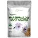 Pure USDA Raw Organic Marshmallow Root Tea Powder, 4 Ounce, Filler Free and Traditional Used, Supports Digestive Gastrointestinal Health, No Irradiated and No GMOs, Vegan Friendly
