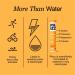 Phizz Electrolytes Multivitamin & Hydration Tablets - 20 Effervescent Rehydration Electrolyte Tablets - Vegan, Low Calorie with 18 Vitamins & Minerals - Orange Flavor 20 Count - Buy Online on GoSupps.com