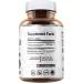 Vegan Labs Tongkat Ali 200:1 Extract - 1200MG Energy & Stamina Support - 180 Vegan Capsules - Gluten Free & Non-GMO Supplement - Buy Online on GoSupps.com