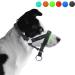 Padded Dog Head Collar for Anti-Pulling Control | Adjustable Head Harness in L Lake Blue - Buy Online on GoSupps.com