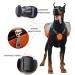 Lifeunion Polyester Dog Saddlebags Pack for Travel and Hiking - Large Blue - Buy Online on GoSupps.com
