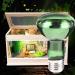 E27 Reptile Heat Bulb Infrared Heating Light Bulbs 25/50/75/100W UV Tortoise Turtle Light Beneficial UVA Basking Lamp Heat Bulb(25W Green) 25w Green - Buy Online on GoSupps.com