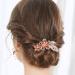 Bohend Rhinestone Flower Hair Comb - Champagne Wedding Hair Accessories for Women & Girls - Buy Online on GoSupps.com