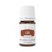 Clove Vitality 5ml by Young Living - Antioxidant and Immune System Support - Warm and Spicy Flavor Tea Flavoring Baked Goods Flavor - Culinary Essential Oil for Recipes