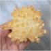 Very Beautiful 1pc Natural Crystals Quartz Freeform Reiki Stone Room Home Office Aquarium Decoration Accessories Gemstone (Size : 300-350g) Home Goods (Size : 300-350g) - Buy Online on GoSupps.com