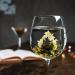 Shop Tea Exclusive - Teblumen Flower Fantasy Mix | 6 Unique Tea Blends in Elegant Metal Can - Green & White Tea with Jasmine Rose & Peony | Includes Photo Booklet & Sprouts - Buy Online on GoSupps.com
