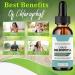 RUSTOO Liquid Chlorophyll Concentrate - Natural Energy Boost & Immune System Support - Buy Online on GoSupps.com