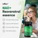 CareHaven NAD+ Resveratrol Essence Capsules - 5mg NAD+ & Lion's Mane Mushroom - Supports Healthy Cell Function & Daily Wellness - 60 Active Dietary Capsules (3PCS) - Buy Online on GoSupps.com