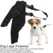 Adjustable Pet Knee Pads Pet Dog Hind Legs Protector Dog Hind Legs Protector for Recovering Injured or Diseased Legs for Dogs(M-Black)(XS) - Buy Online on GoSupps.com