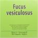 Biover Fucus Vesiculosus Organic Kelp - Buy Online on GoSupps.com