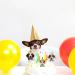 12PCS Puppy Cupcake Topper Dog Cupcake Topper Picks Pet Theme Puppy Themed Birthday Party Decorations Gog - Buy Online on GoSupps.com