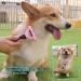 Hesiry Pets Dogs & Cats Grooming Brush for De-Shedding with Self Cleaning Remove Pets Shedding for Short and Long Hair(Medium) - Buy Online on GoSupps.com