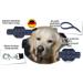 Buy Twinkys Dog Style 20mm Wide Tow Leash for Dogs up to 50kg - 20m Long without Hand Loop - Premium Quality Made in Germany - Buy Online on GoSupps.com