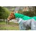 Swish Equestrian Fly Turnout Combination Rug - Green 7'0 - Buy Online on GoSupps.com