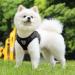 Dog Harness Dog Vest Harness Adjustable Reflective Breathable Soft Padded Pet Vest Harnesses Chest Harness for Small Medium Dogs and Cats- Easy Control for Outdoor Walking (Black-L) Black(L) - Buy Online on GoSupps.com