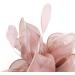 FRCOLOR Fascinator Feather Headband / Clip Party Wedding Royal Ascot Races Hair Accessories Headdress (Nude Pink) - Buy Online on GoSupps.com