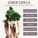 Mary Thistle Liver Kur Capsules - 22-Fold High Dose (80% Silymarin) with Artichokes Ginger Dandelion & Curcuma - Supports Liver Health with Choline & Natural Herbs - International Shipping Available - Buy Online on GoSupps.com