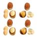 WHAMVOX 15pcs Simulated Nut Snack Toy Doll House Doll Food DIY Simulated Nuts Tiny Food Mini Resin Suite 2.90X1.40X1.40CM