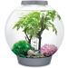 Biorb 55029 Decor Set 30L Sommer - Realistic Artificial Aquatic Plants & Stones for Freshwater & Saltwater Aquariums - Buy Online on GoSupps.com