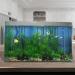 Ctpeng 23-Piece Artificial Aquarium Plants - Green & White Plastic Aquarium Decoration for International Shipping - Buy Online on GoSupps.com